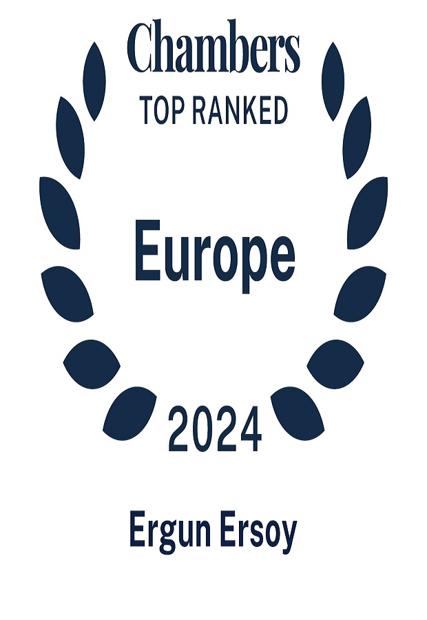 2024 Leading Individual-Ergun Ersoy